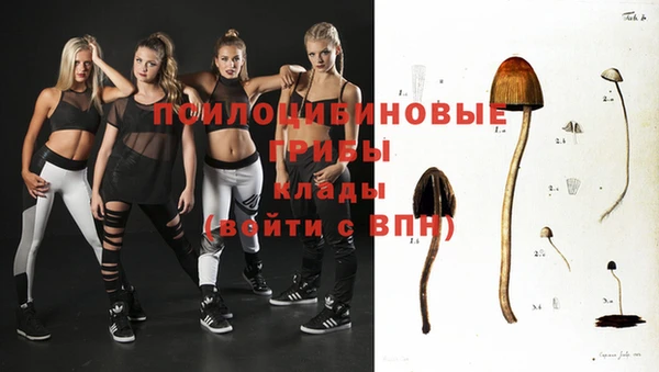 крисы Абдулино