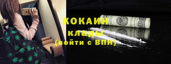 прущие грибы Абаза